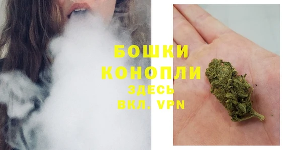 спиды Пересвет