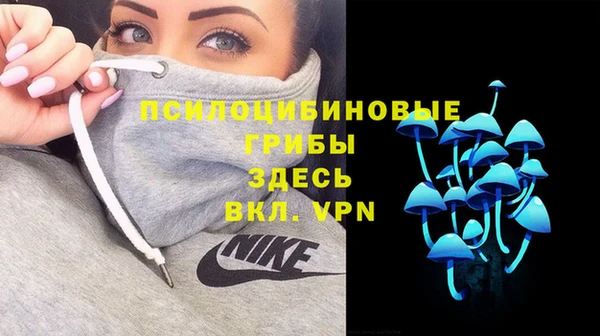 спиды Пересвет