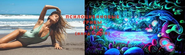 спиды Пересвет