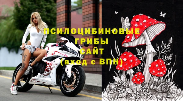 спиды Пересвет