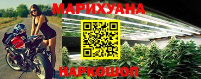 крисы Гусев