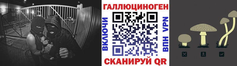 где продают Сланцы блэк спрут рабочий сайт Псилоцибиновые грибы GOLDEN TEACHER