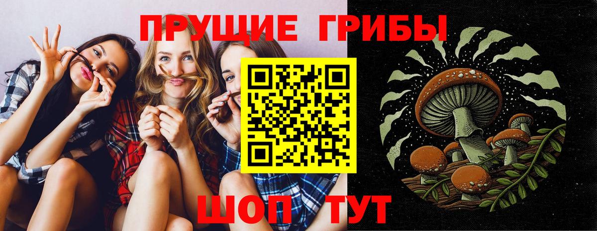 наркотики  Вход с VPN  Сланцы  Псилоцибиновые грибы Cubensis 