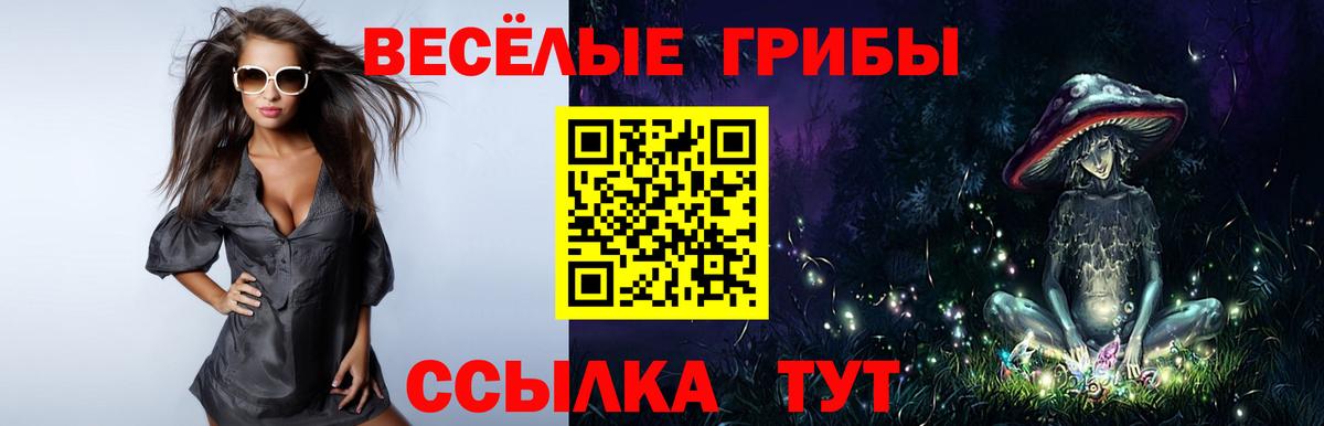 Псилоцибиновые грибы Magic Shrooms Сланцы