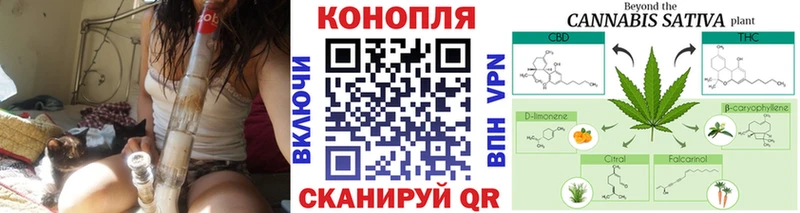 купить закладку  Сланцы  Канабис гибрид 